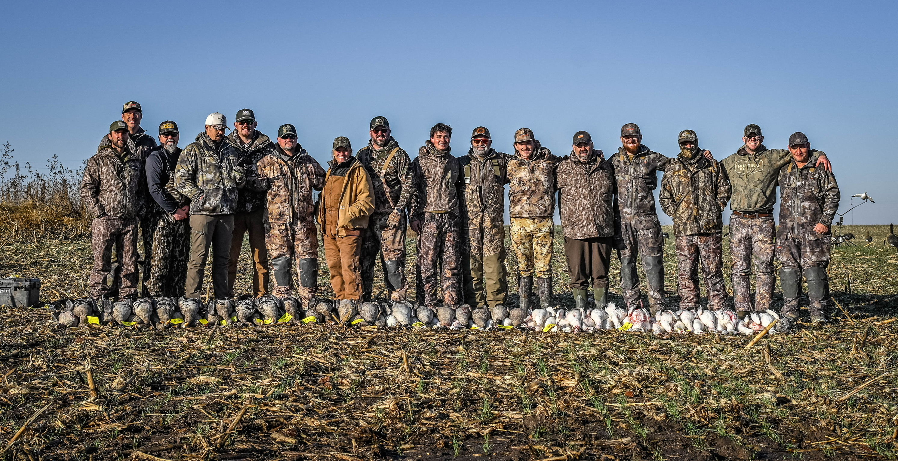 Group with a strap of ducks